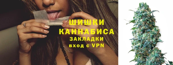 твердый Аркадак
