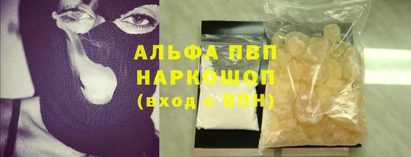твердый Аркадак