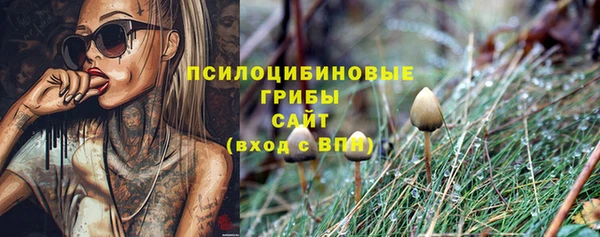 твердый Аркадак