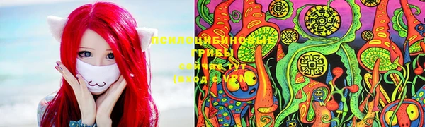 твердый Аркадак