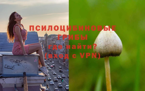 твердый Аркадак