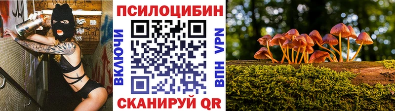 Галлюциногенные грибы Psilocybine cubensis  Арск 