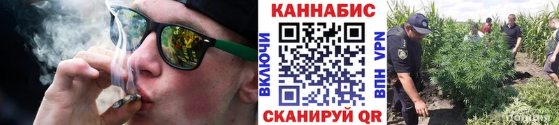 MEGA   Арск  Каннабис VHQ  купить  